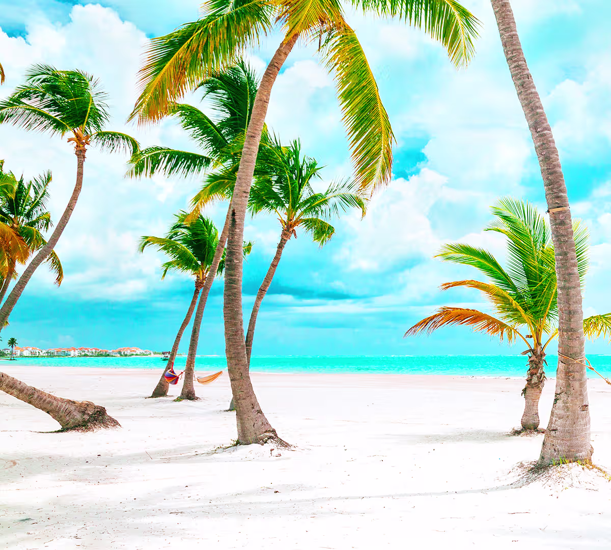 Destination highlights