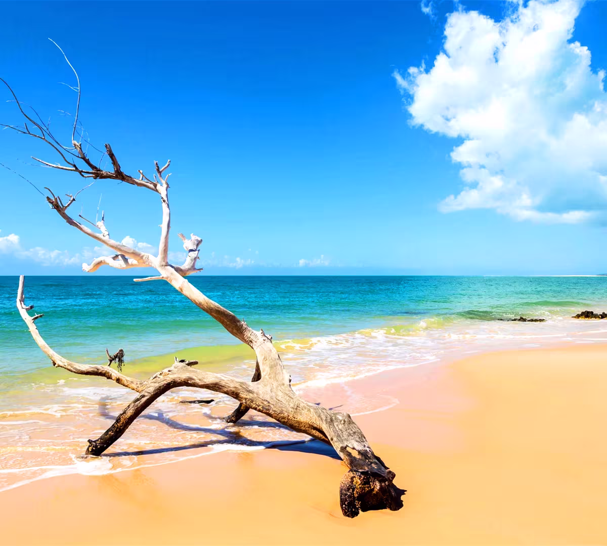 Destination highlights