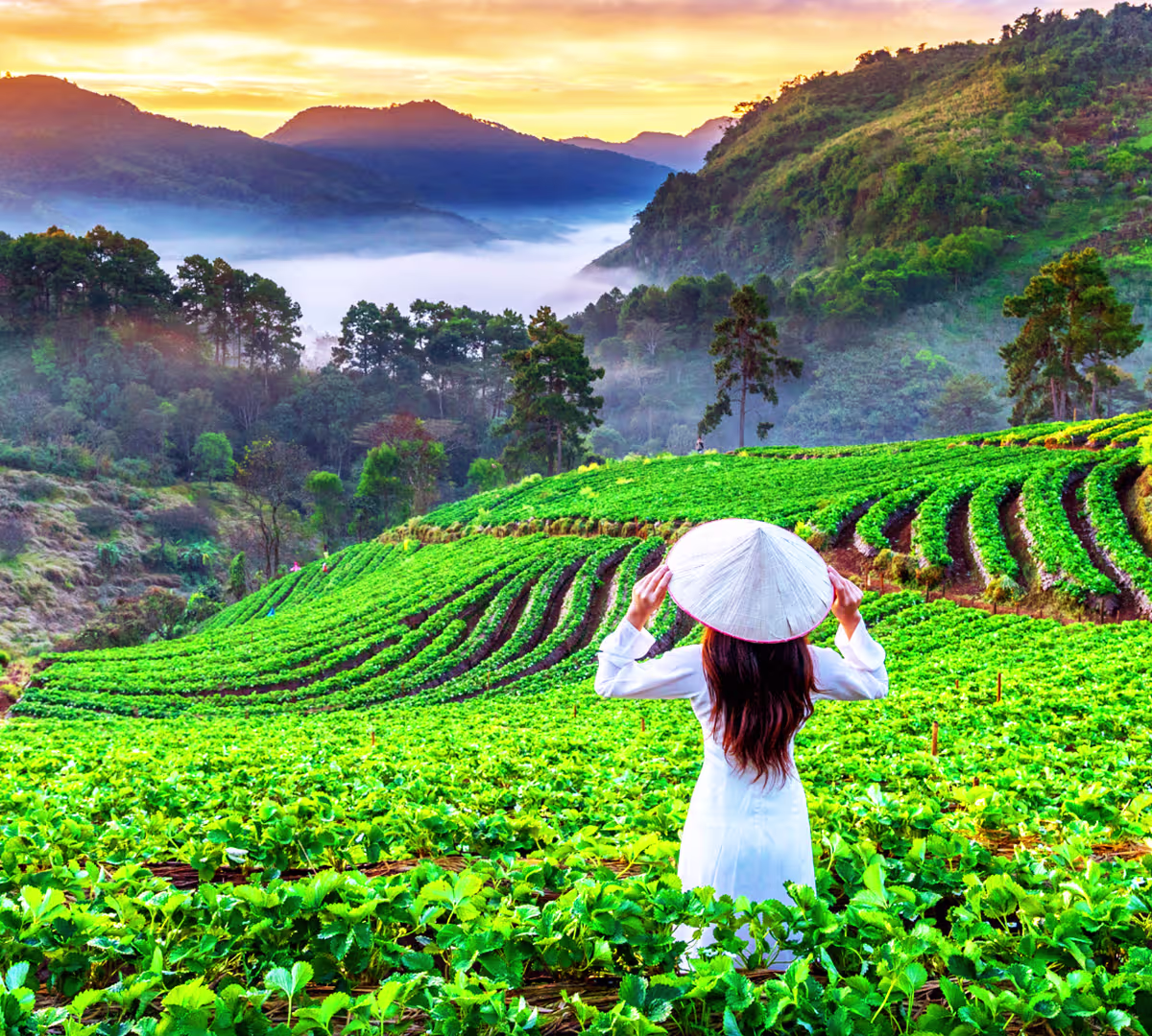 Things to Do in Asia