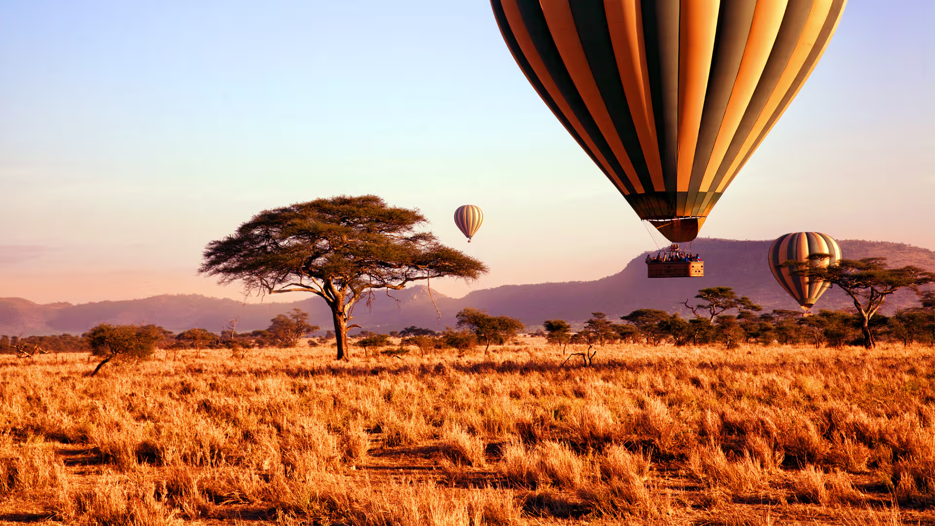 Scenic view of Serengeti