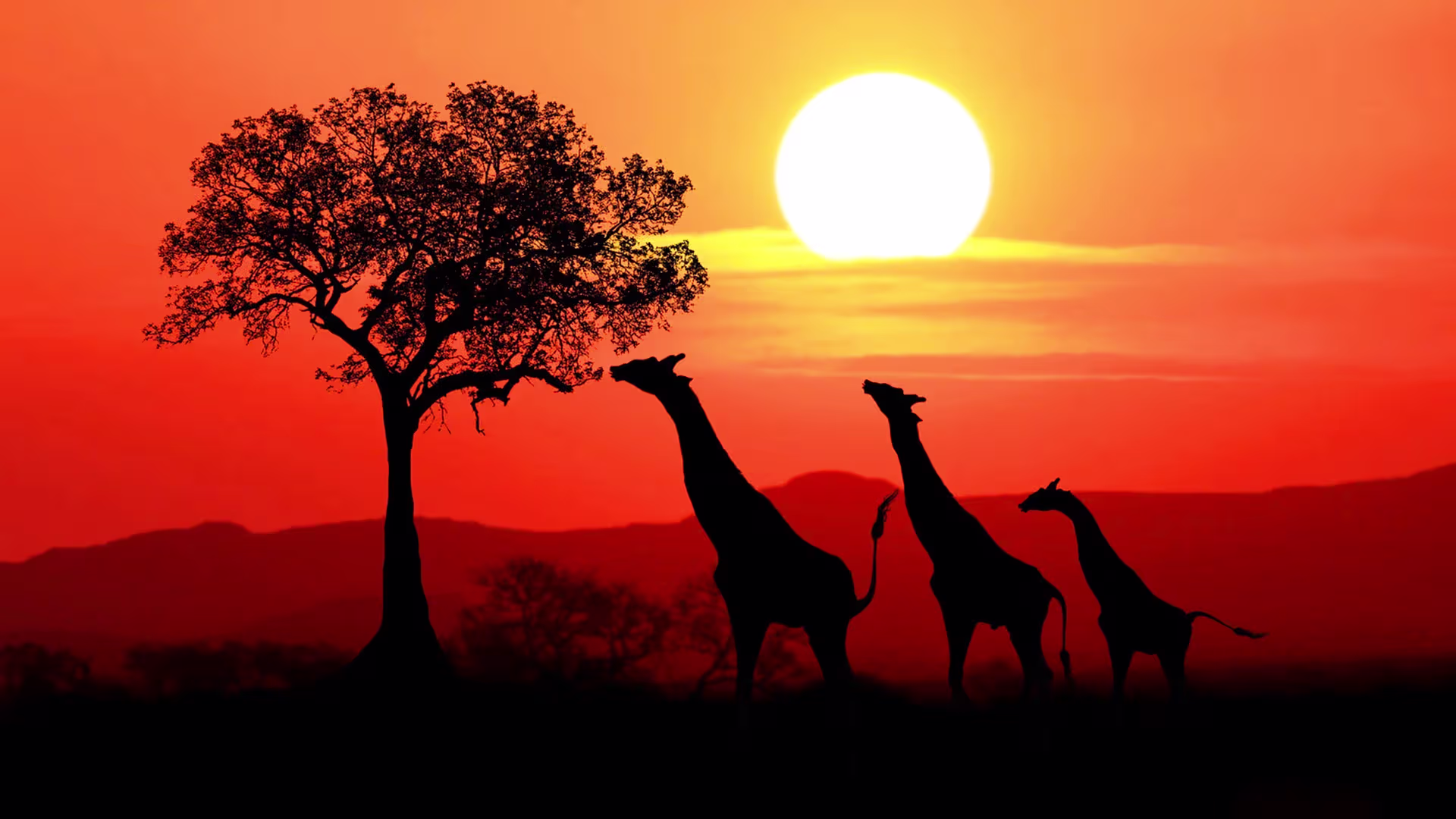 Tanzania
