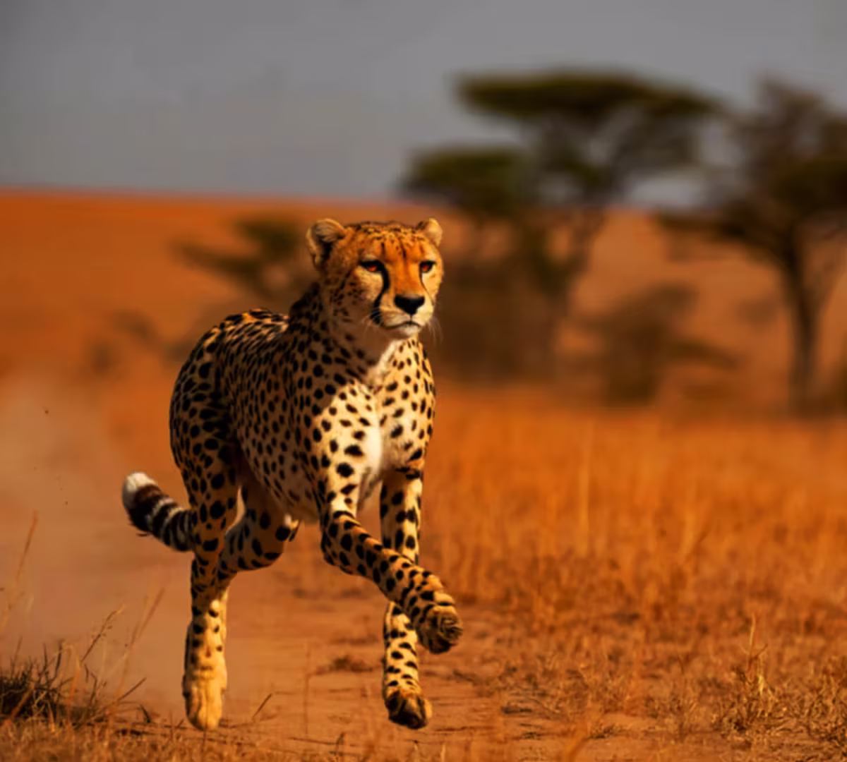 Destination highlights