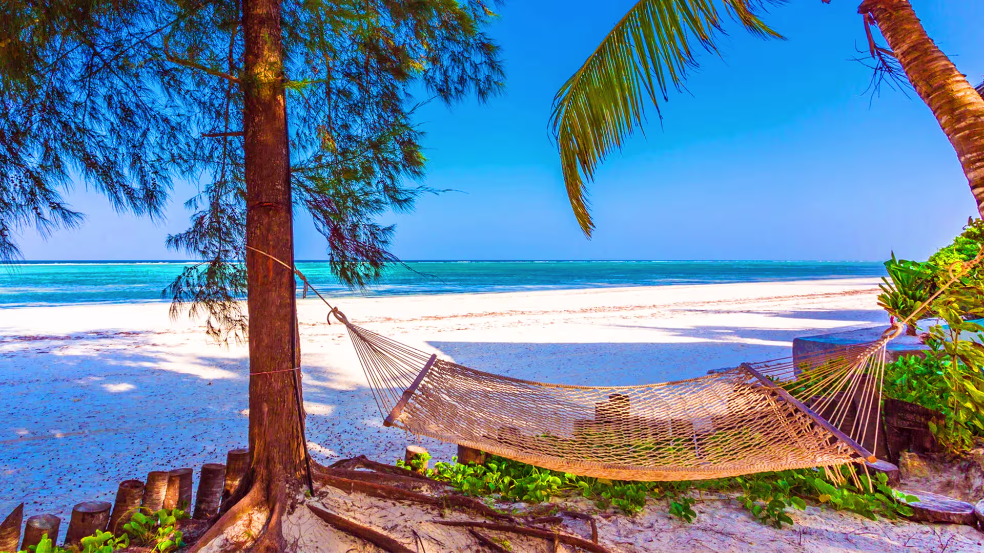Zanzibar