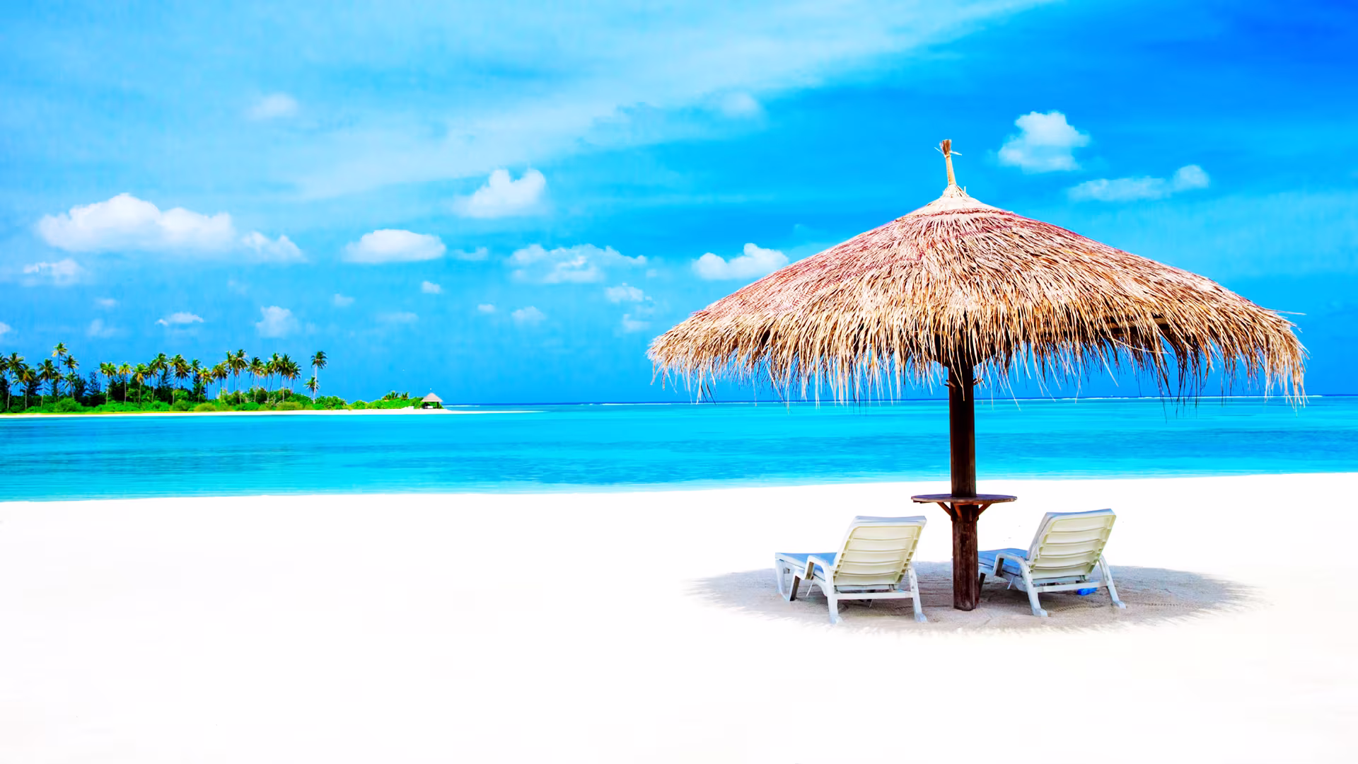 Child holiday category image