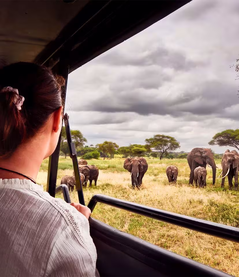 Botswana Safari Holidays