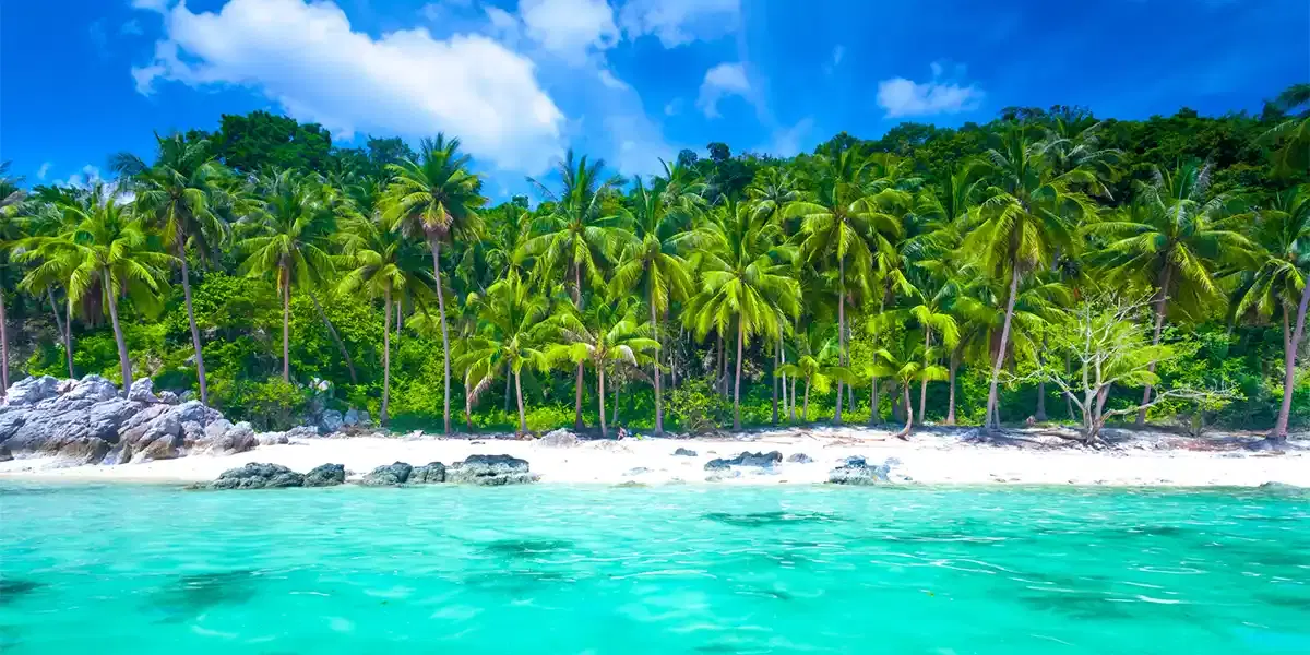 Bangkok–Koh Samui: White Lotus-Inspired Journey