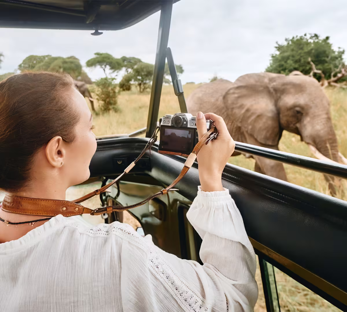 Things To Do in Africa