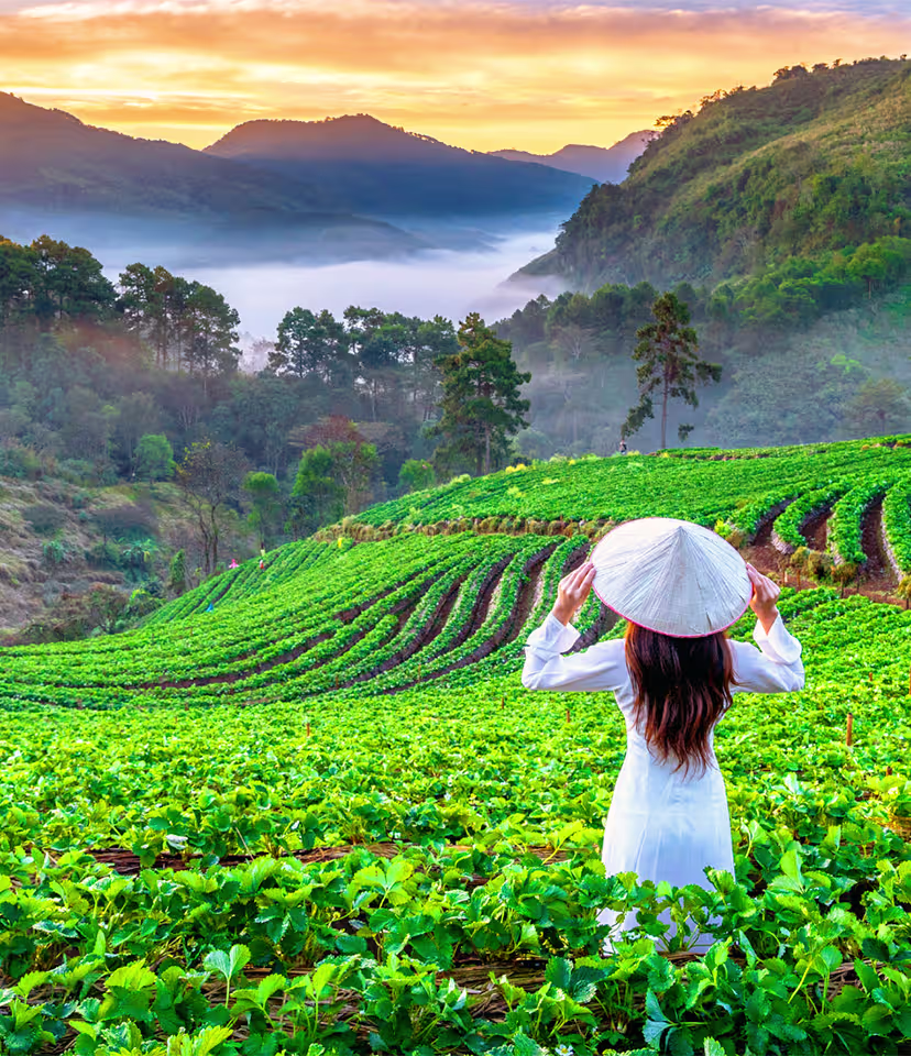 Things to Do in Chiang Mai