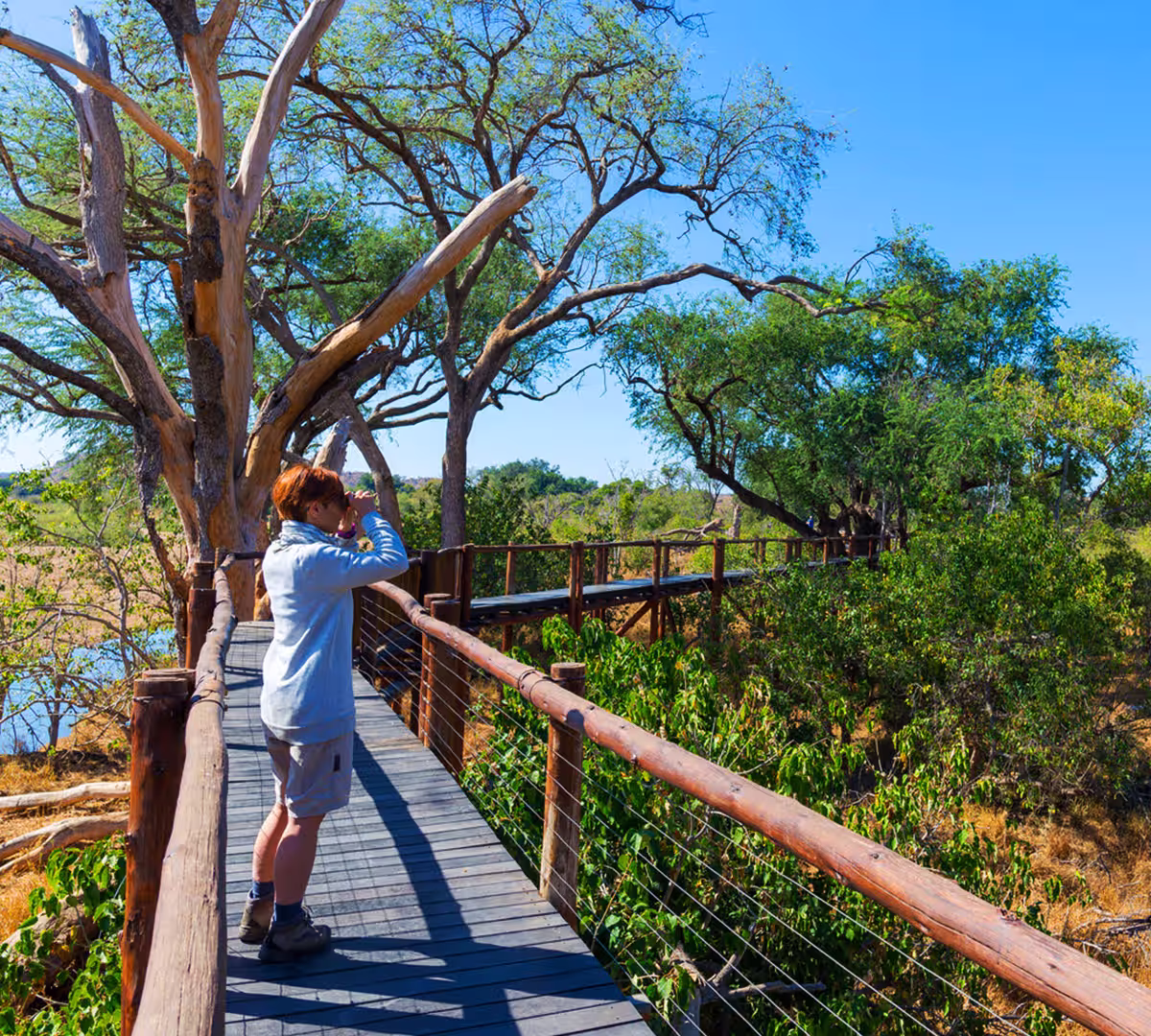 Things To Do Greater Kruger Game Reserves