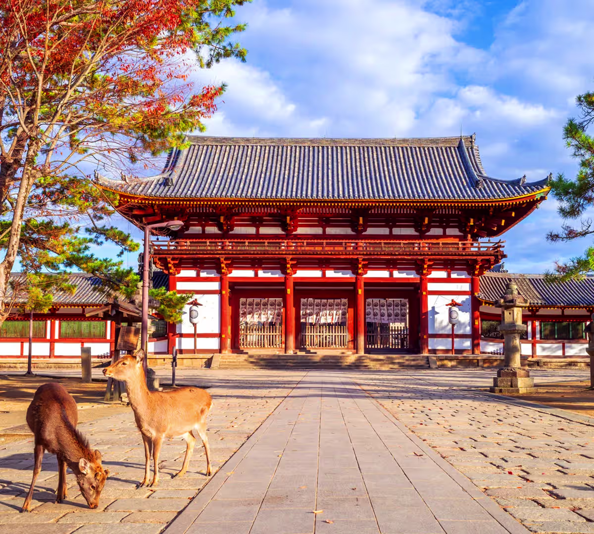 Nara