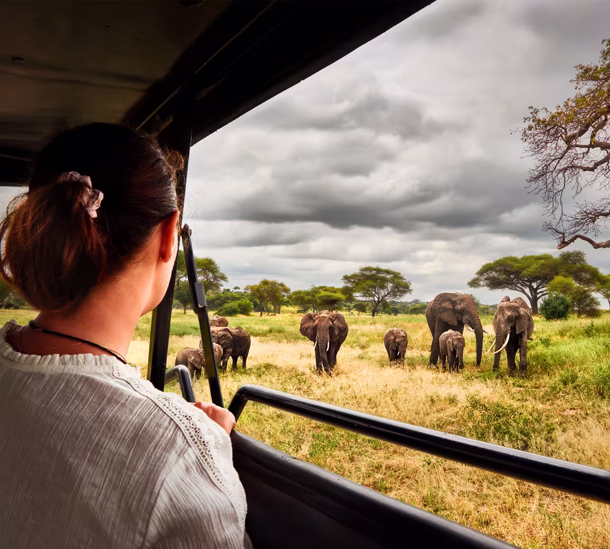 Things To Do in Tanzania