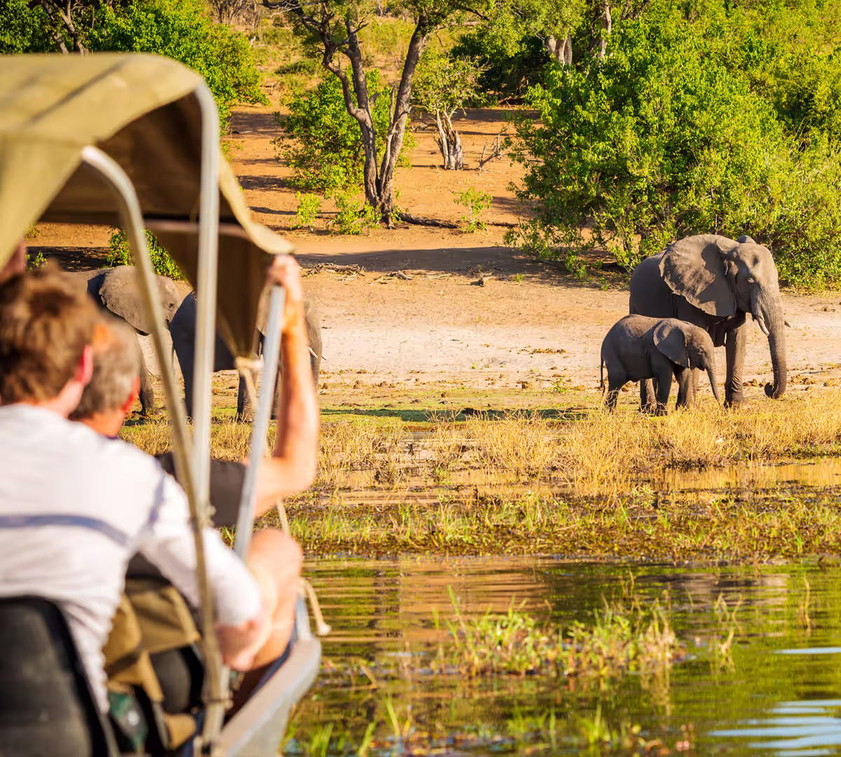 Top Things to Do in Botswana